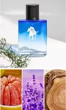 4 Pcs Luxury Men Cologne Gift Set - 4 X 30ml Bottles of Premium Vanilla & Cologne Scented Pheromone Perfume for Men - Long Lasting