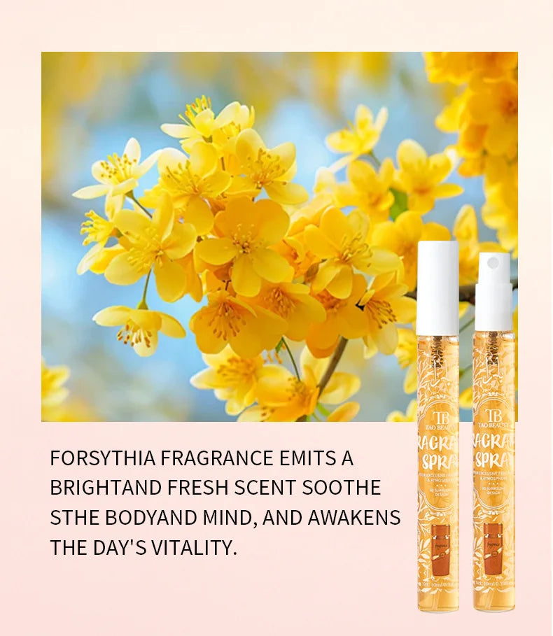 Four-Piece Perfume Set with Fresh and Lasting Fragrance Perfect as a Gift and a Gentle Non-irritating Alcohol-Free Body Spray