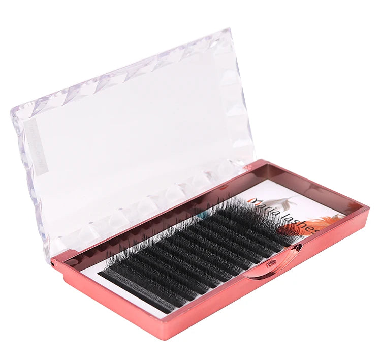 MARIA 4D W Shaped Beam Eyelash Extensions Patch Russian Private Label Wholesale Clusters Easy Fan Volume Lashes Makeup