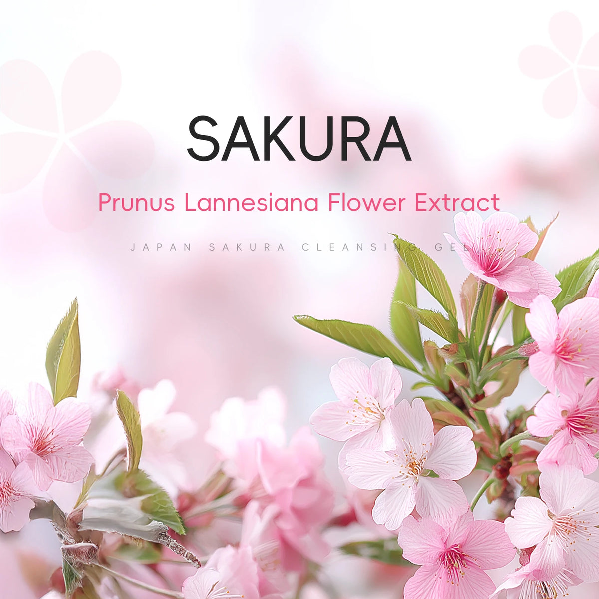 LAIKOU Japan Sakura Cleansing Gel 60g Pore Cleansing Moisturizing Smoothing Gentle Facial Cleanser