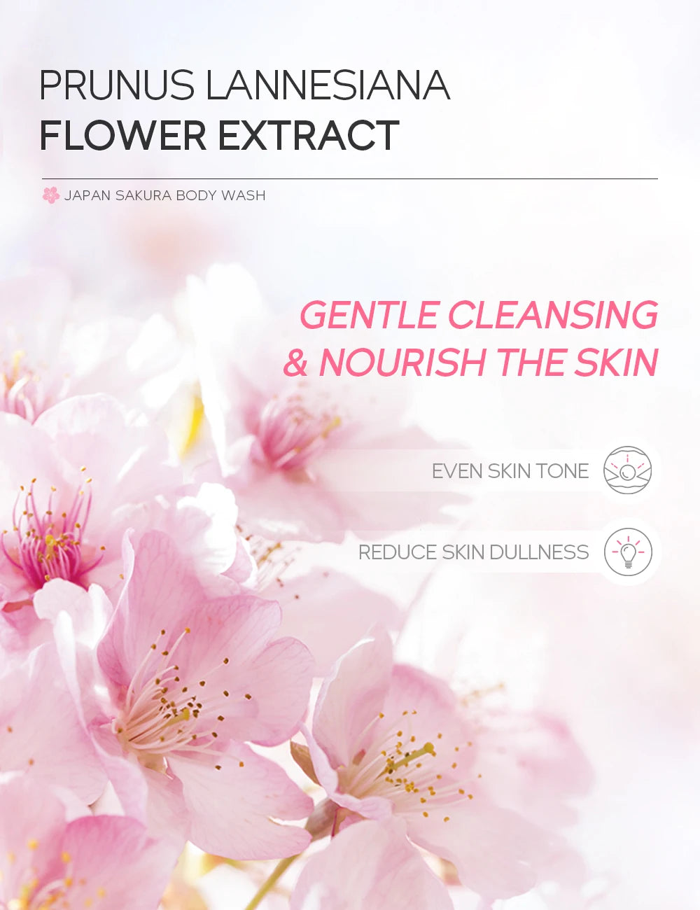 LAIKOU Japan Sakura Body Wash Gentle Cleanser Smoothing Shower Gel Skin Brightening Treatment Amino Acid Formula