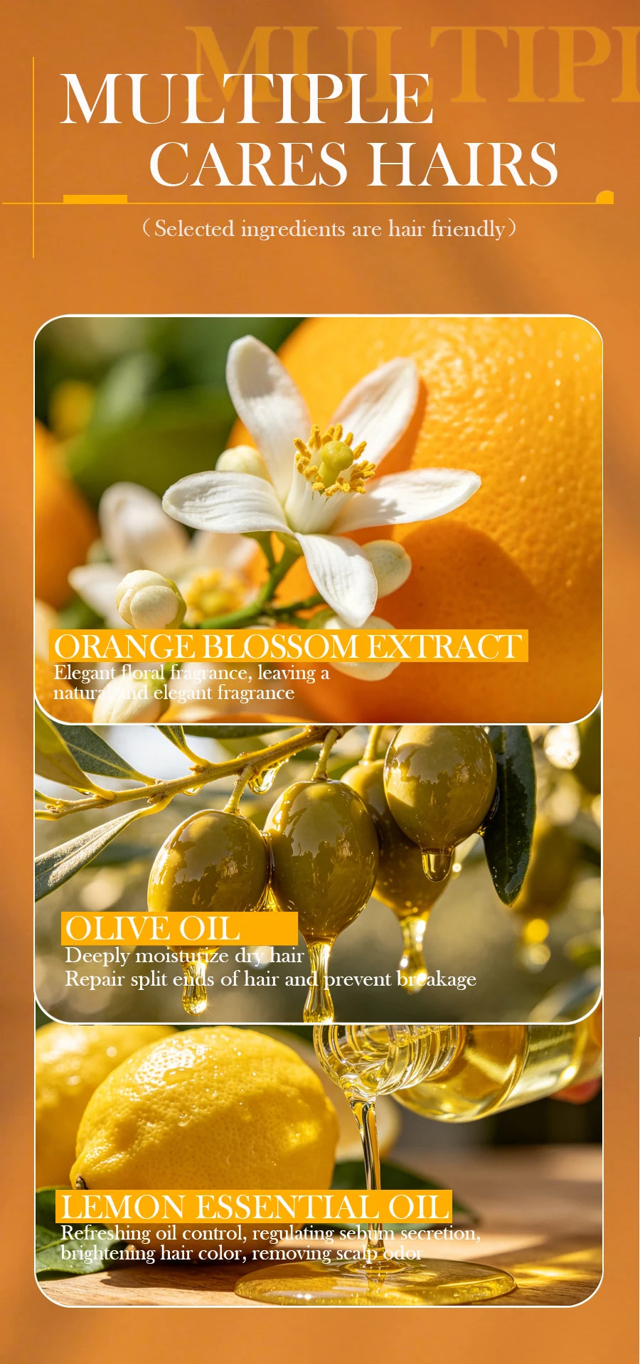 Natural Honey Shampoo Plant Essence Extract Refreshing Shampoo Soft Hair Dandruff and Oil Removal