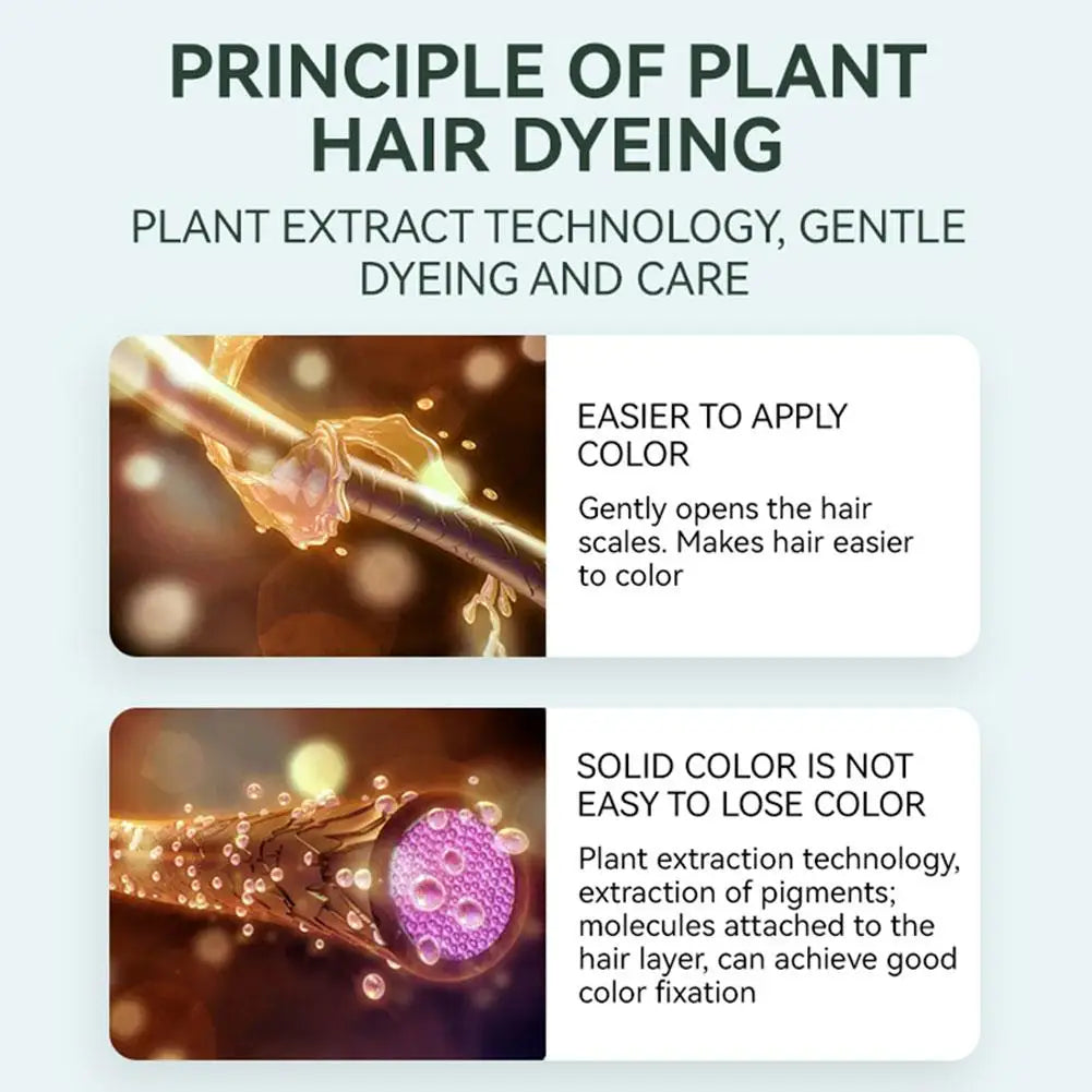 Fruit Hair Dye Cream Plant Extract Hair Dye Essence with Comb Hair Dye Shampoo Botanical Bubble Hair Dye Hair Color Non-Damaging