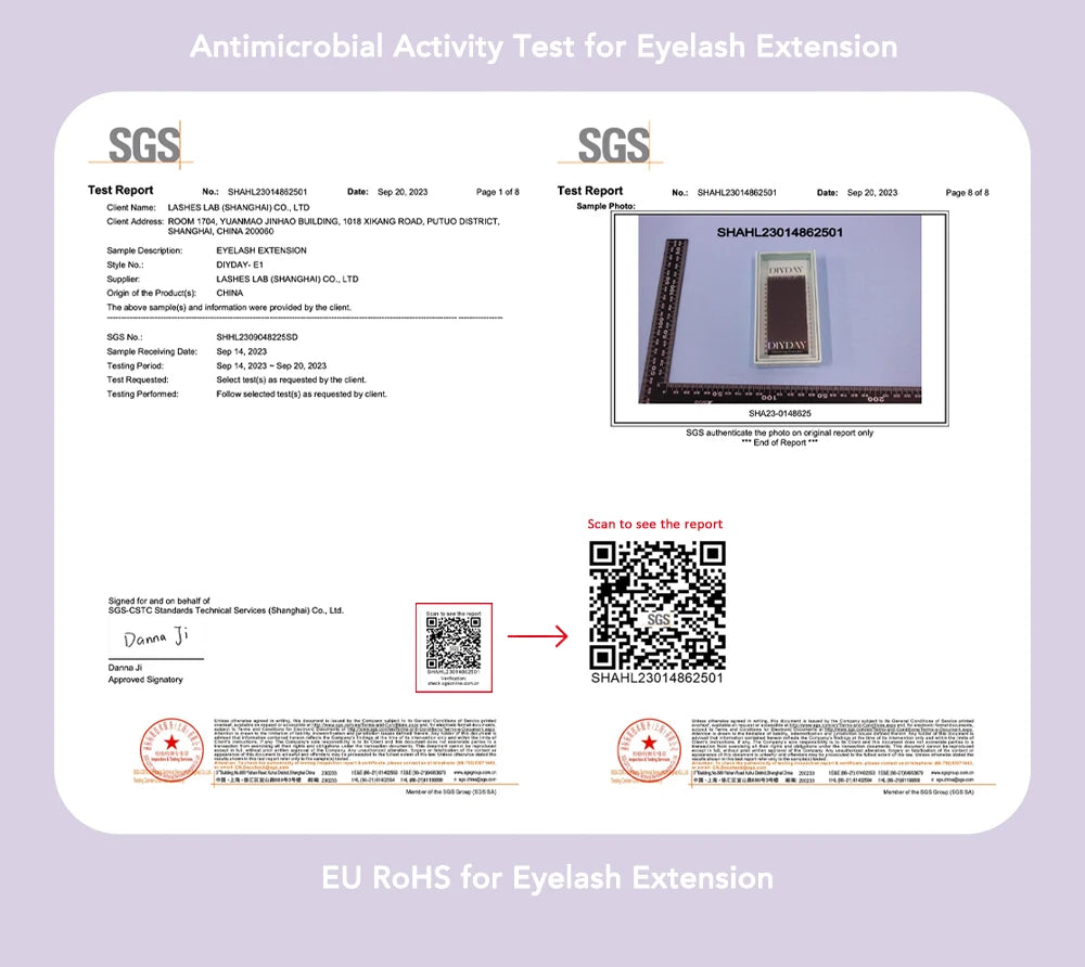 DIYDAY W Shape Eyelash Extension 3d 4d 5d 6d 7d 8d W-Shaped Eyelashes Premade Fans Individual BASF Mink Faux Lashes