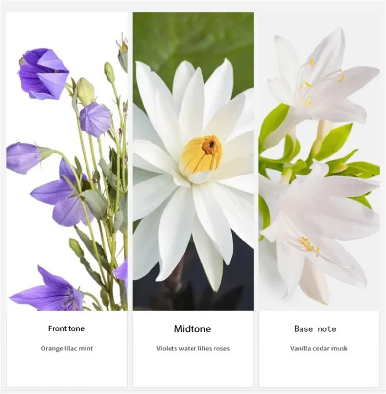 90ML(30mlx3PCS) Eau De Parfum Gift Box Feminino Spray Fresh Light Scent Floral Fruity Chypre Notes LongLasting Women Perfume Set