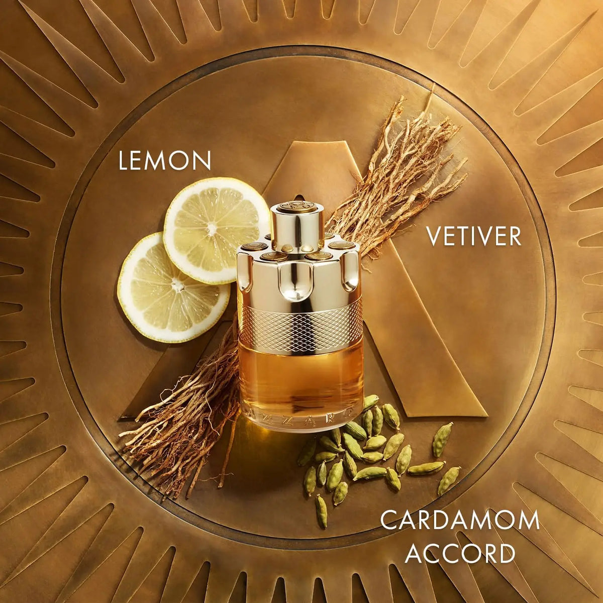 Azzaro Wanted Eau De Toilette - Vibrant & Irresistible Mens Cologne - Woody, Vetiver - Everyday Wear - Luxury Perfumes for Men