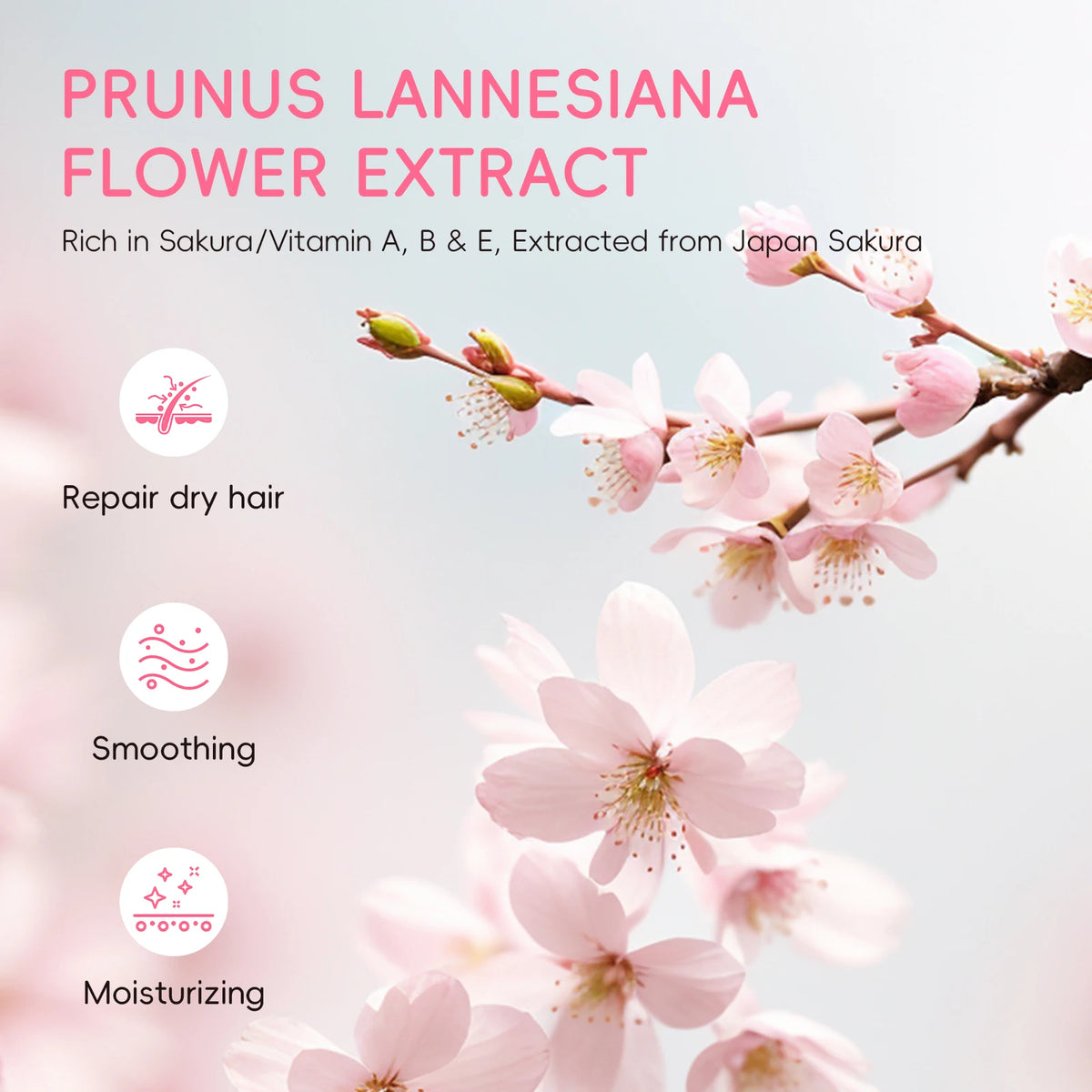 LAIKOU Japan Sakura Hair Conditioner Moisturizing Conditioner Smooth Shine Treatment Floral Scent Hair Repair 400ml