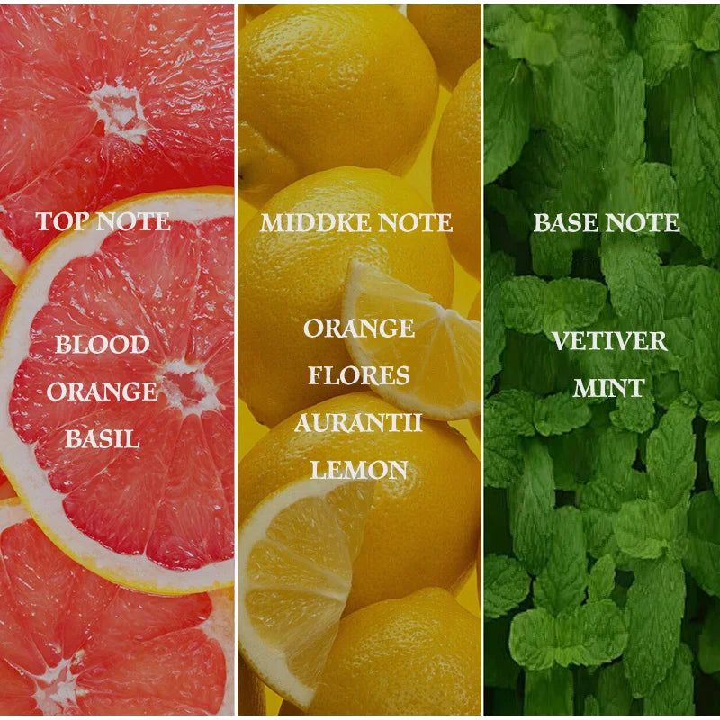 Floral Fruity Citrus Perfume Spray,Orange Basil Women Scent,Rose/Musk/Lemon/Pink Pepper/Patchouli Fragrance Mist,Clean Fresh EDT