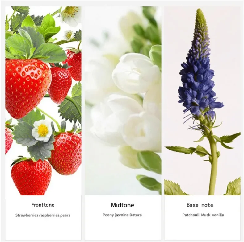 90ML(30mlx3PCS) Eau De Parfum Gift Box Feminino Spray Fresh Light Scent Floral Fruity Chypre Notes LongLasting Women Perfume Set