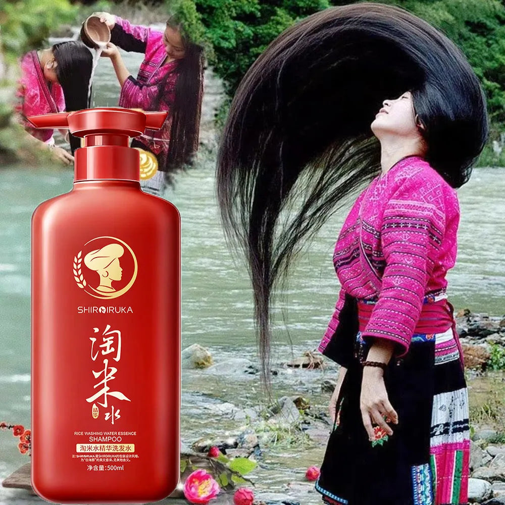 500ml Ginseng Ganoderma Lucidum Ginger Rice Washing Water Shampoo Supple Deep Cleansing Fluffy Refreshing Anti-loss