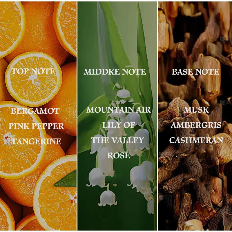 Floral Fruity Citrus Perfume Spray,Orange Basil Women Scent,Rose/Musk/Lemon/Pink Pepper/Patchouli Fragrance Mist,Clean Fresh EDT