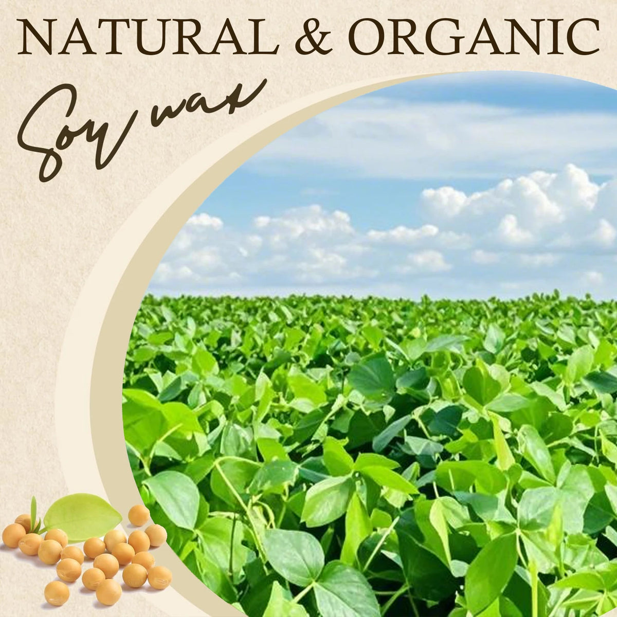 100g-1000g Natural Soy Wax DIY Handmade Candles Crafts Making Supplies 100% Additive-Free Wax Flakes Scented Candle Raw Material