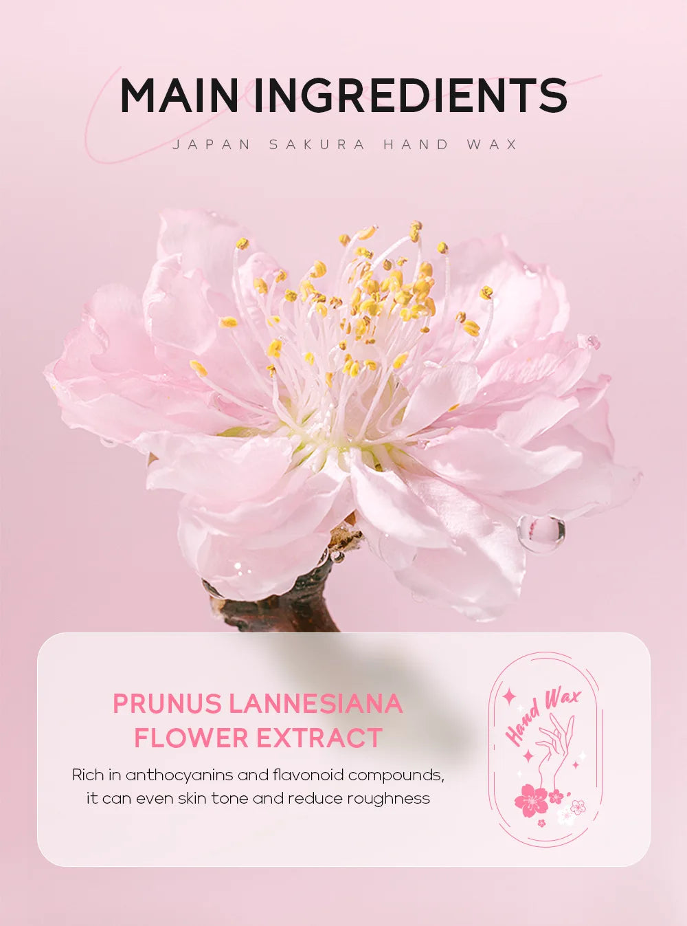 LAIKOU Sakura Hand Wax Moisturizing Hands Exfoliating Calluses Anti-Aging Hand Exfoliator Scrub Hands Peeling Masks Skin Care