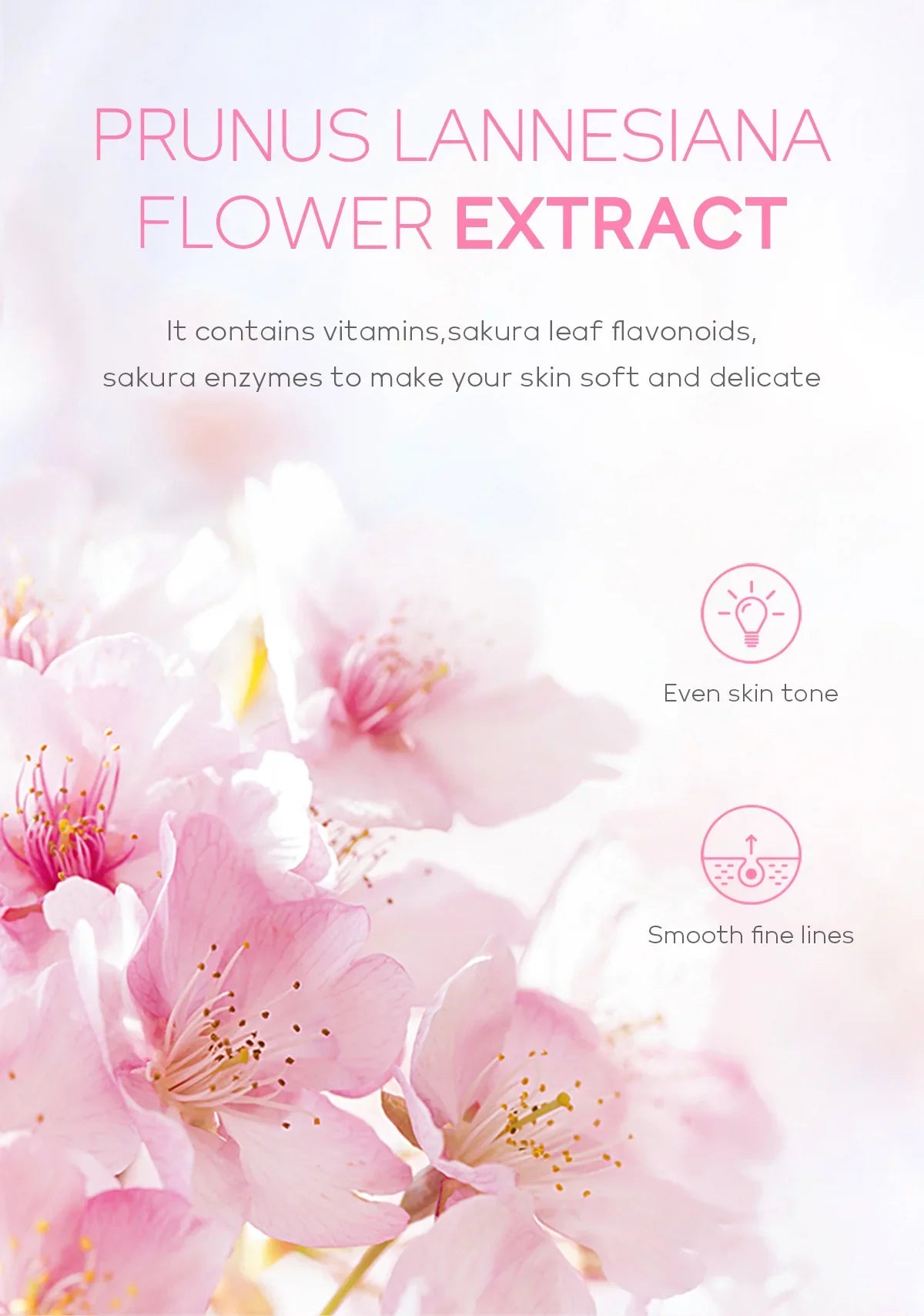 Sakura Exfoliating Gel Face Body Scrub Deep Cleansing Pores Gentle Peel For Blackhead Remove Smooth Brightening Skin 60g